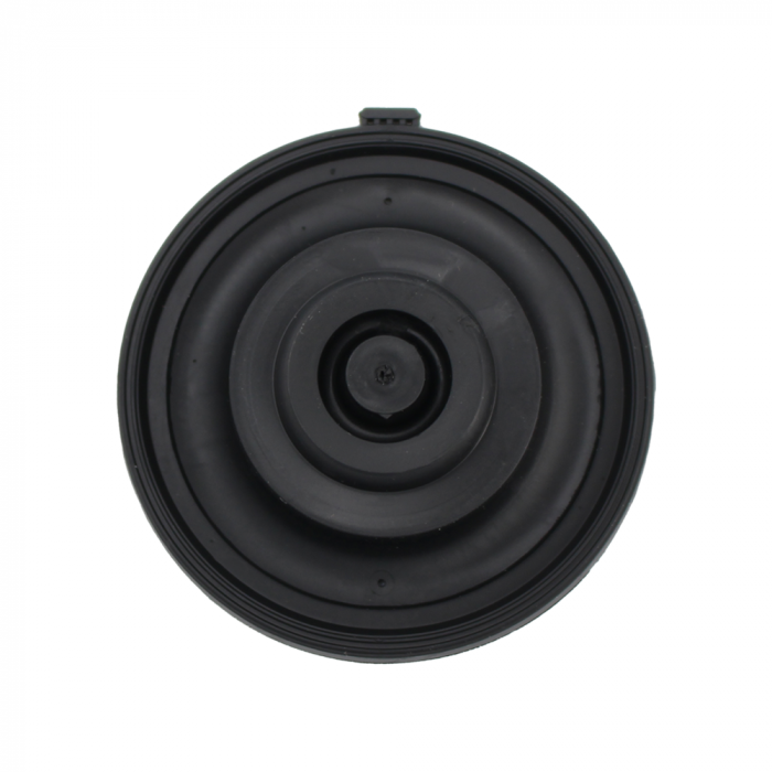 Diaphragm Weathermatic 12000 series 1"