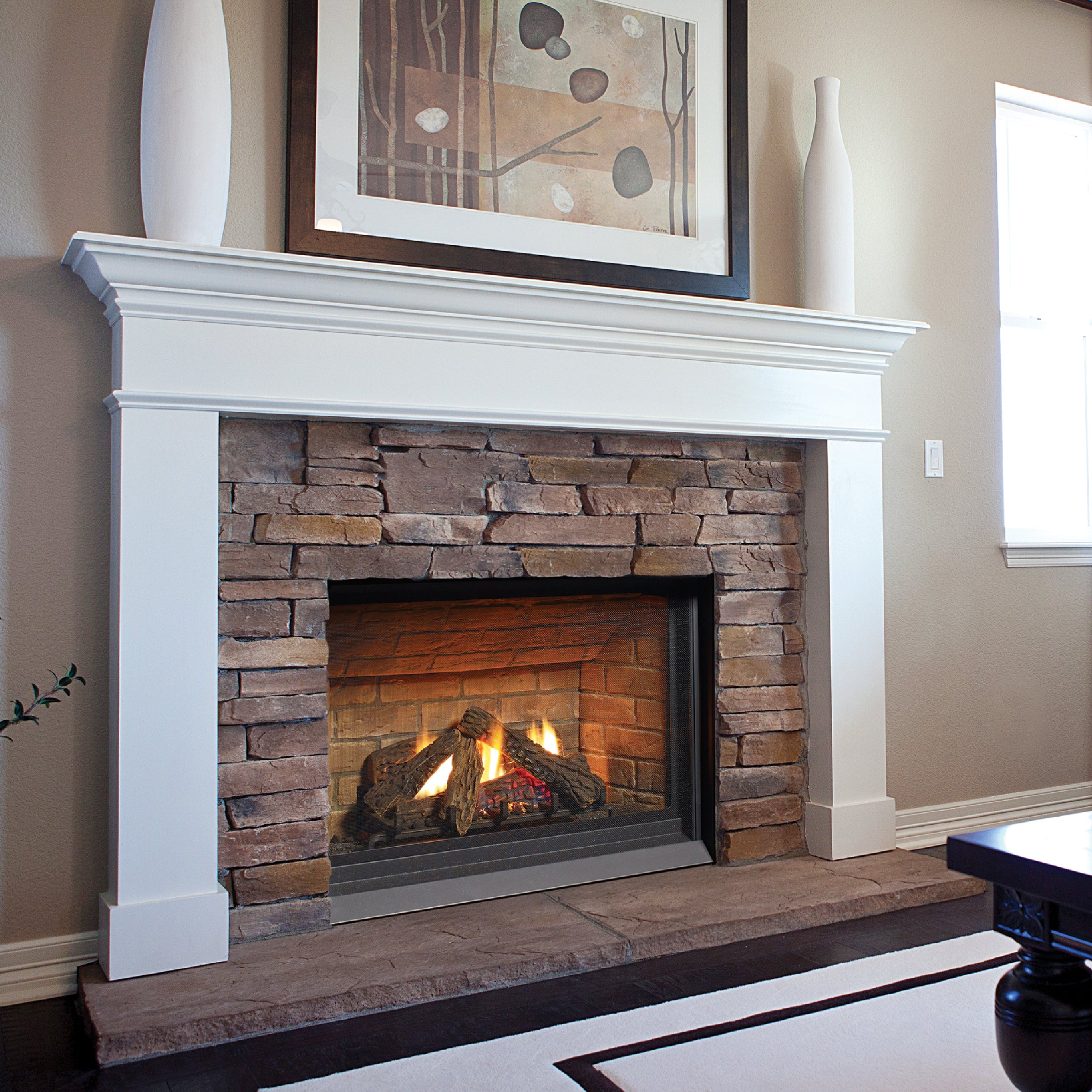 Panorama Gas Fireplace