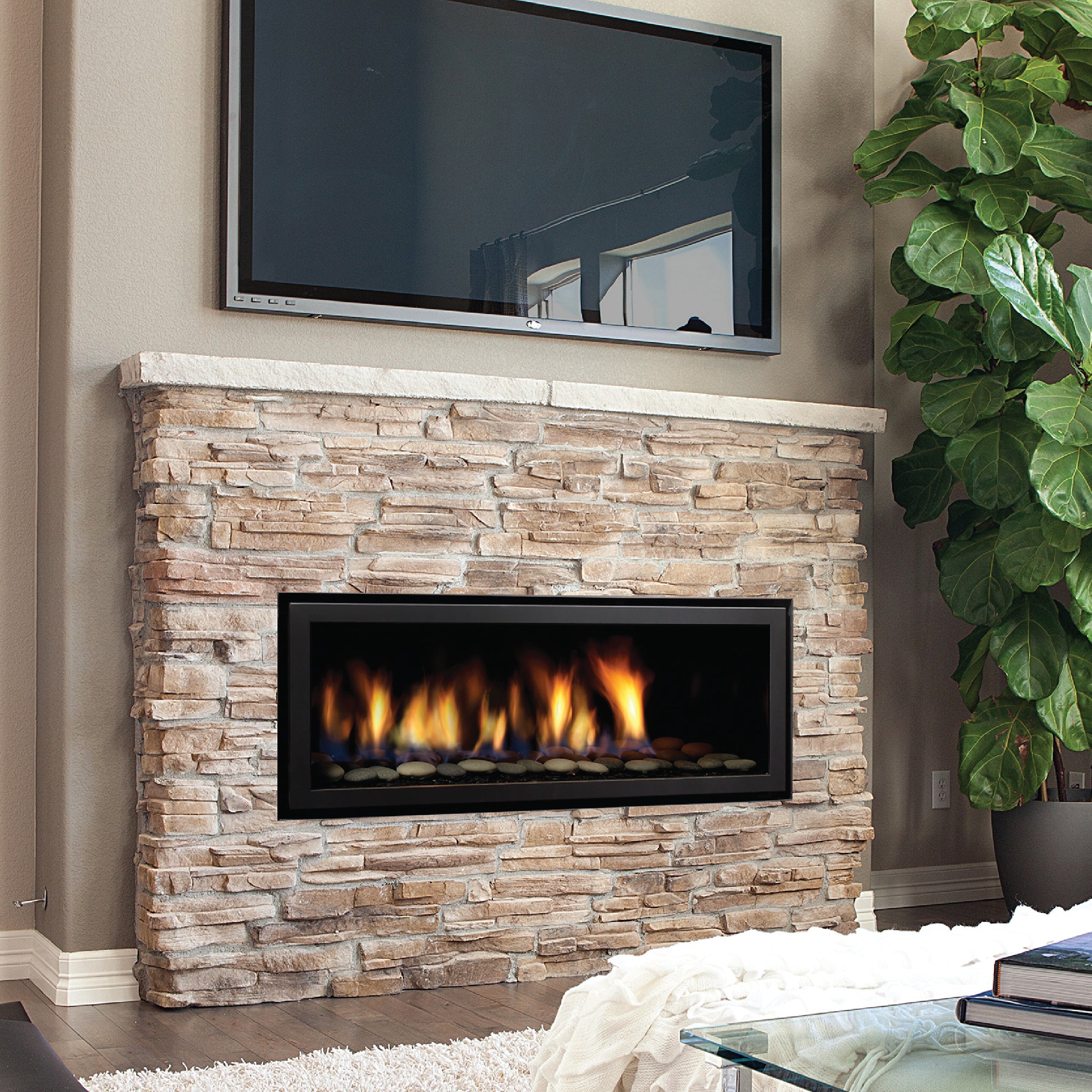 Horizon Gas Fireplace