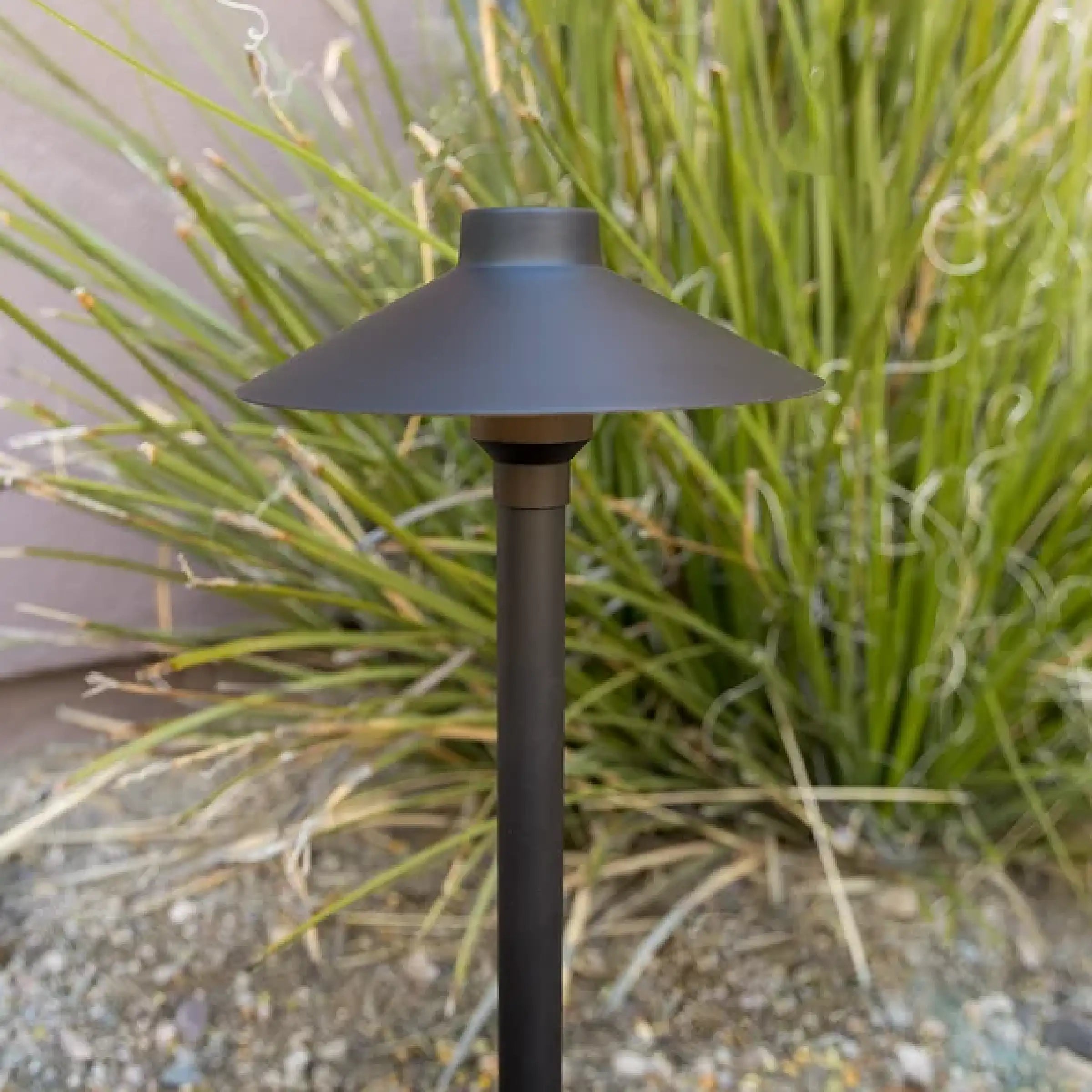 Black Diamond Path Light