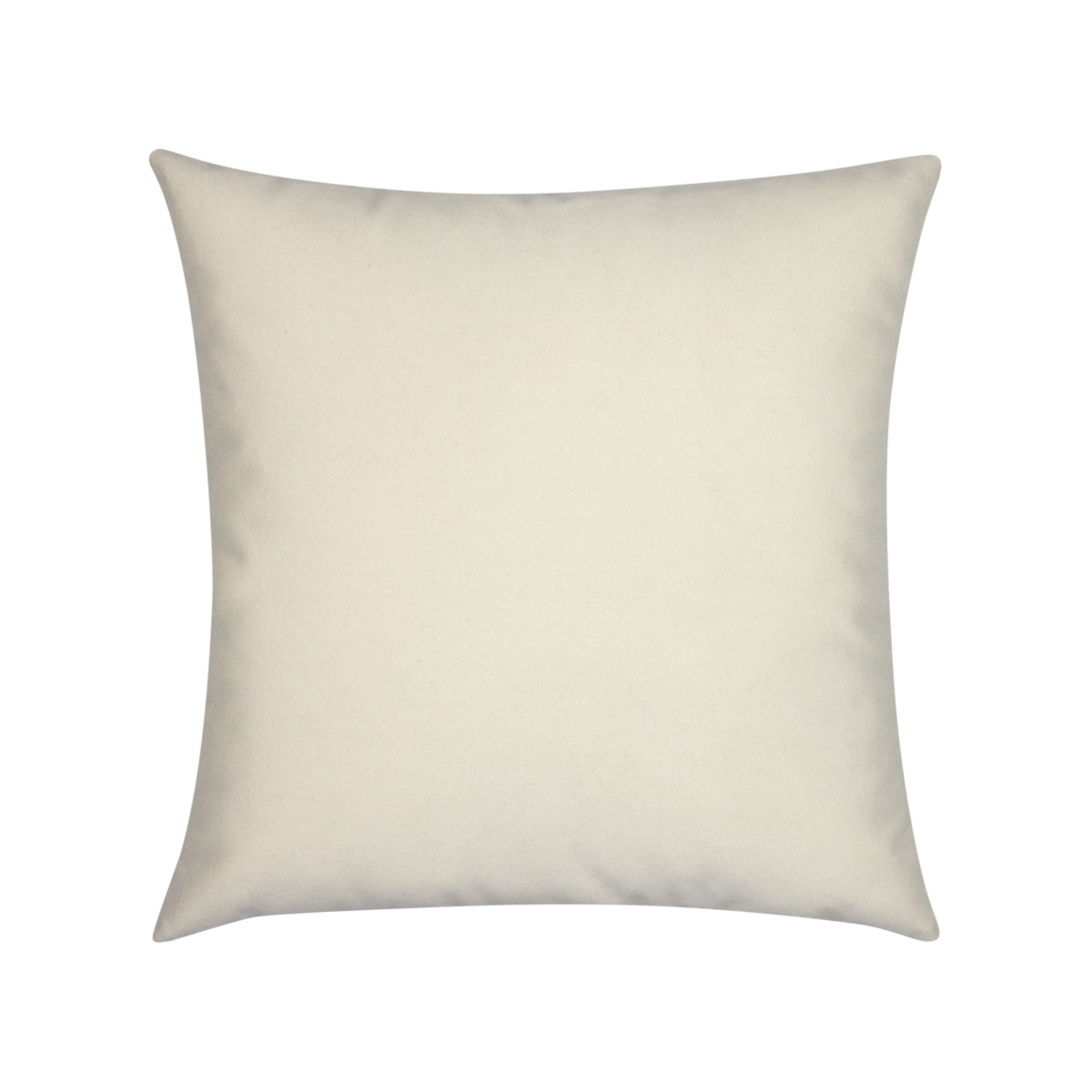 Lush Velvet Oatmeal Pillow