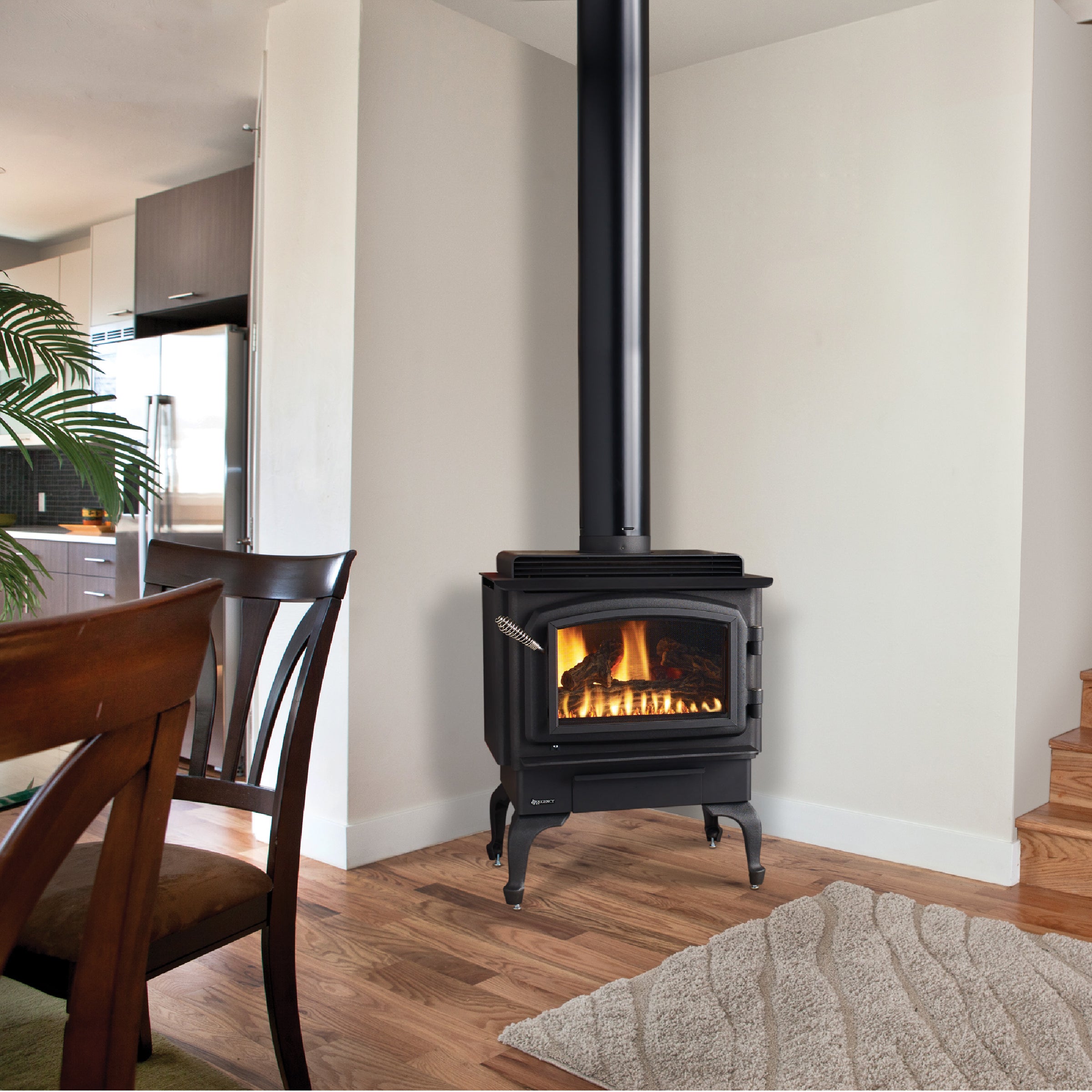 Traditional Gas Stove by Regency
