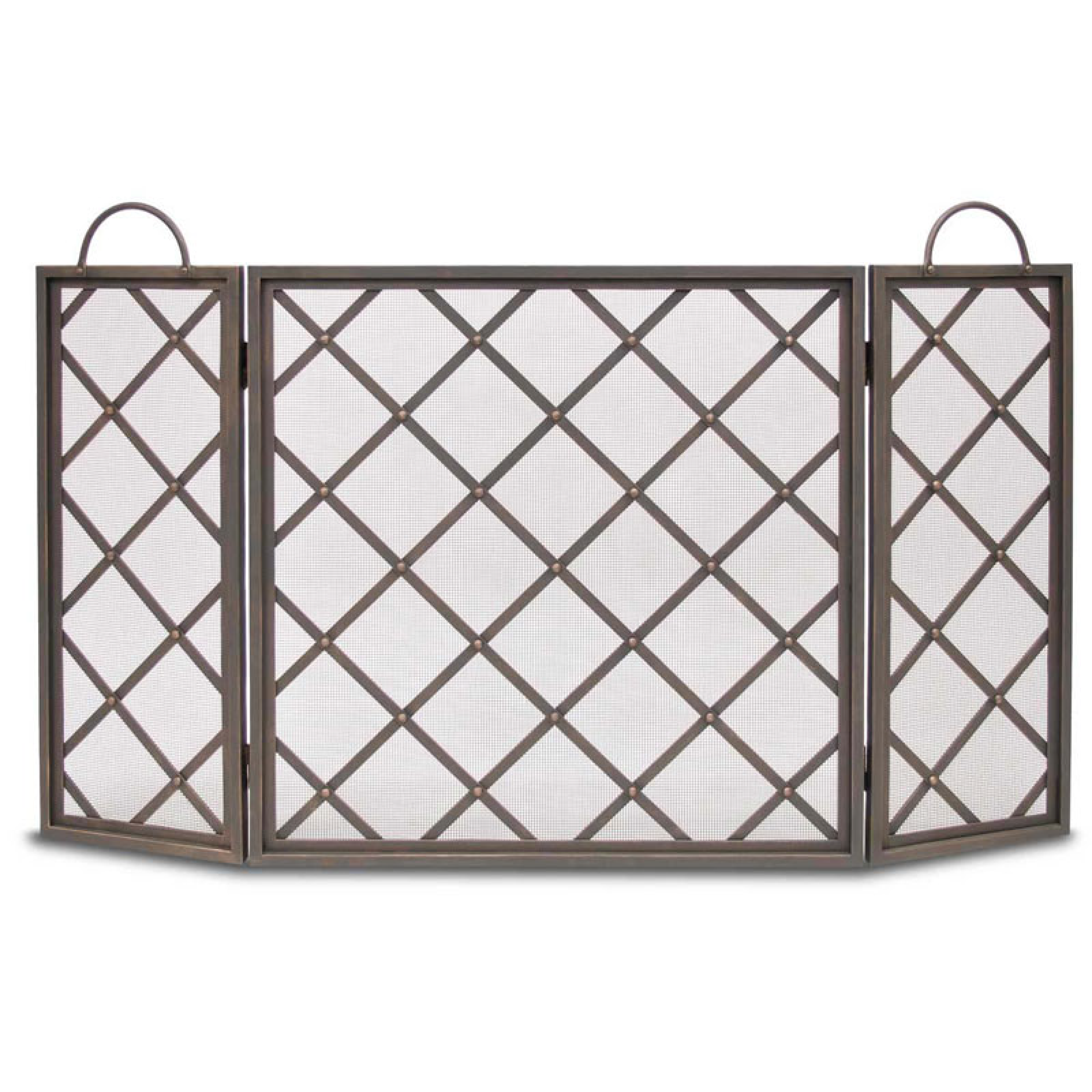 Iron Weave Door Screen