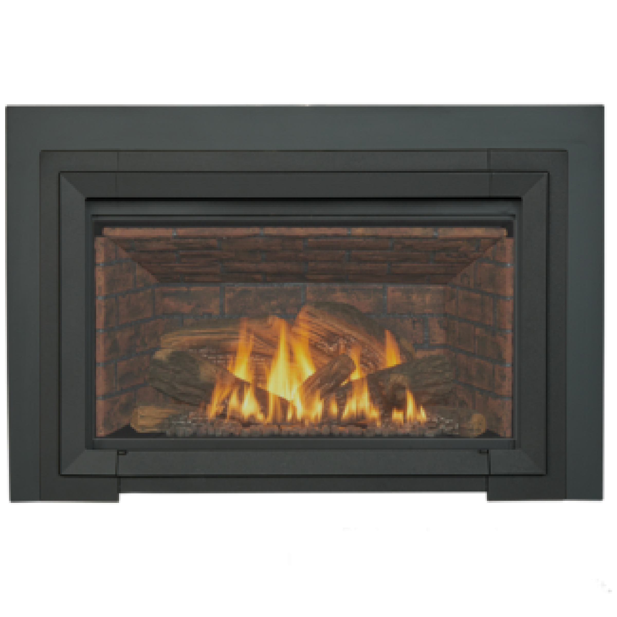 GI 645 DV Astrid Gas Insert with Blower