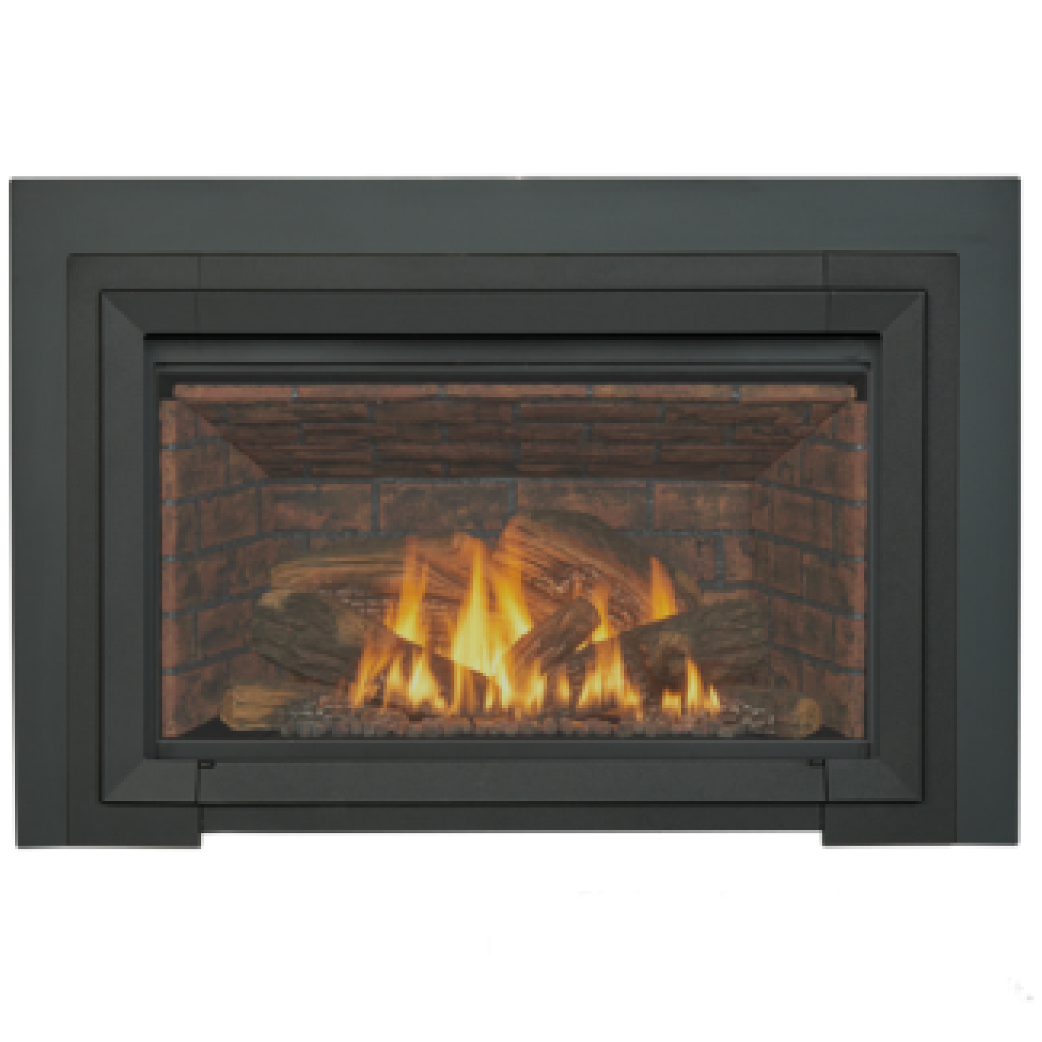 GI 645 DV Astrid Gas Insert with Blower