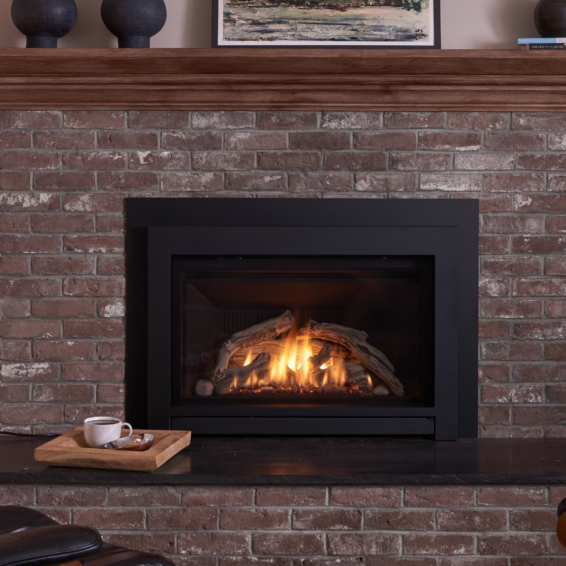 GI 645 DV Astrid Gas Insert with Blower