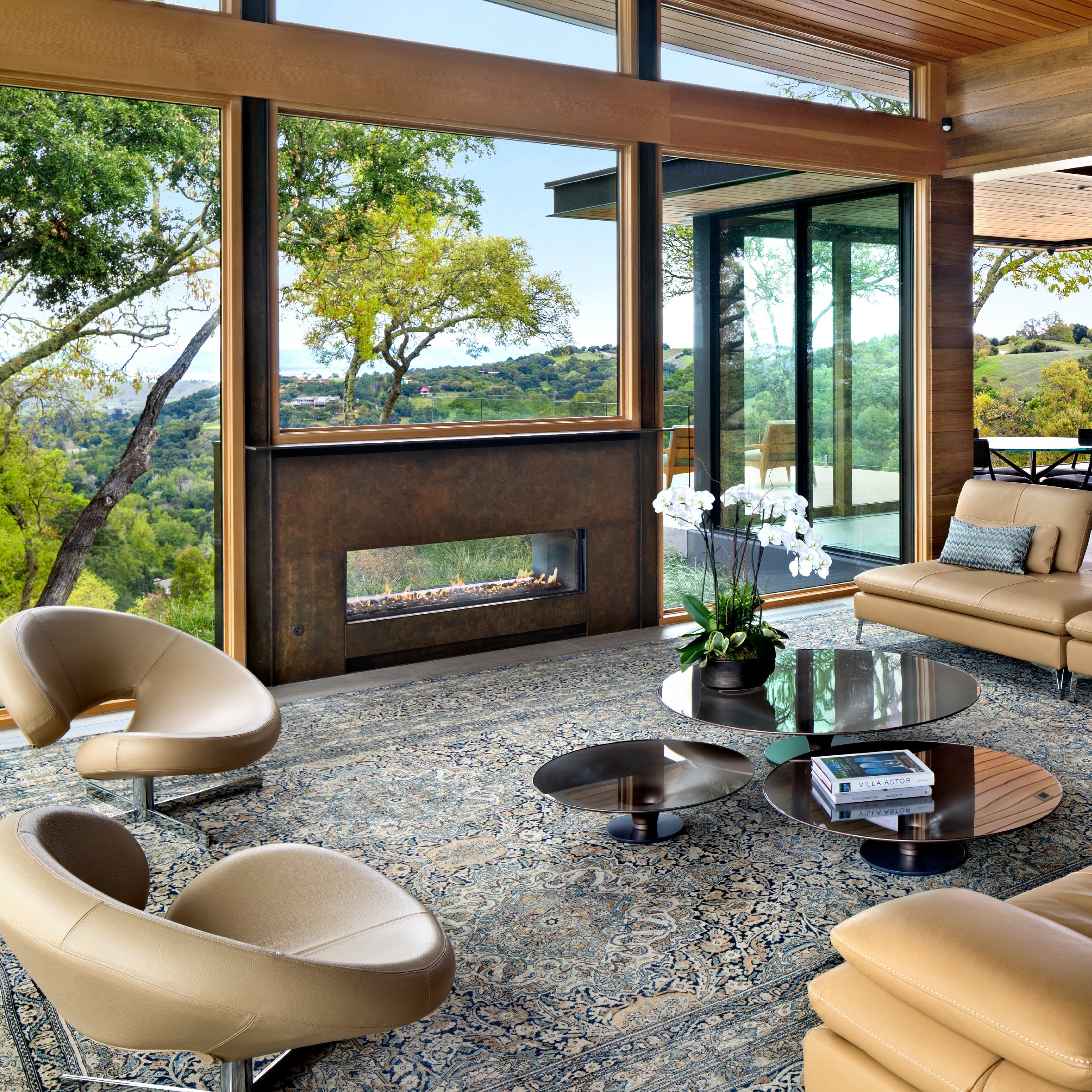 Indoor Outdoor Tunnel (IO) Fireplace