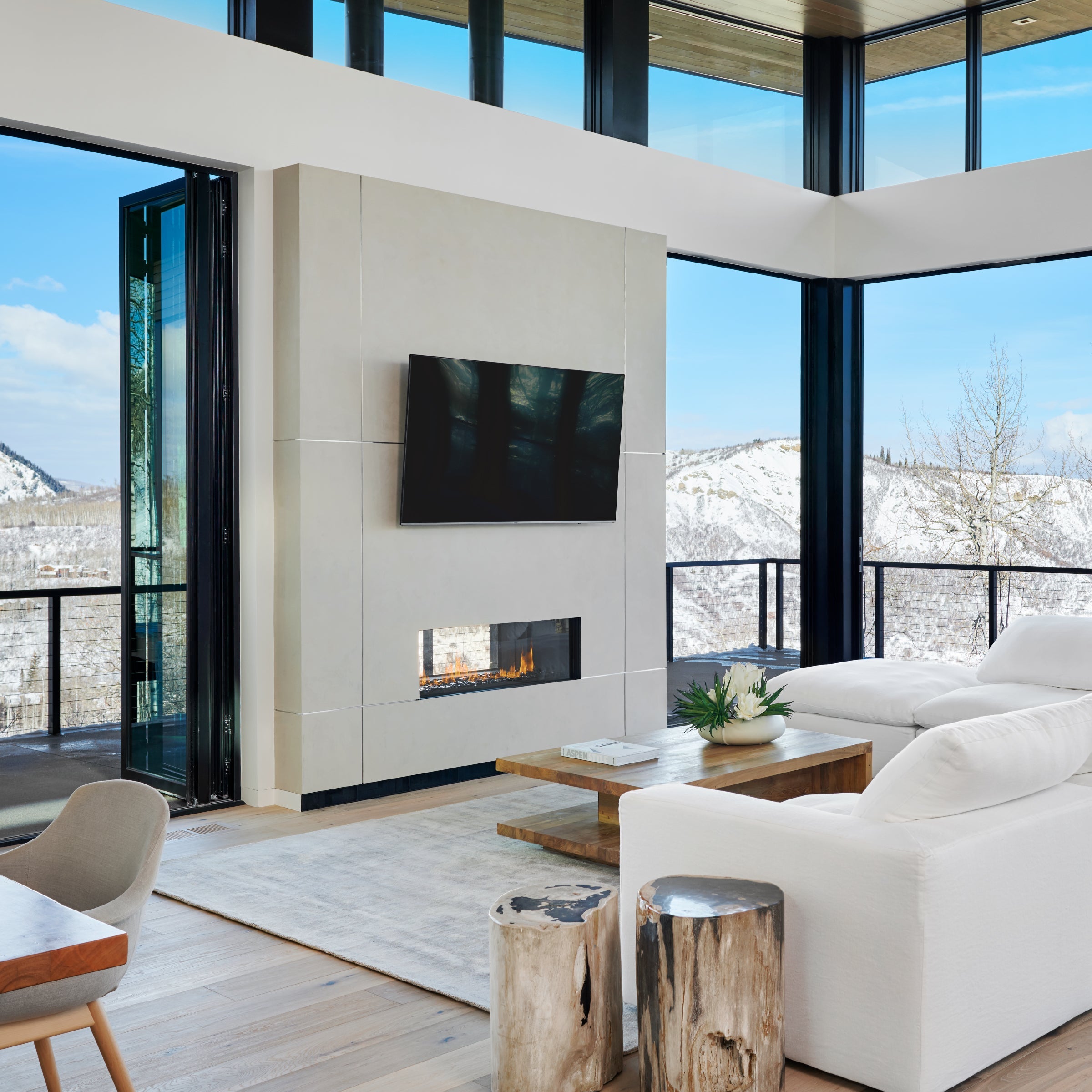 Indoor Outdoor Tunnel (IO) Fireplace