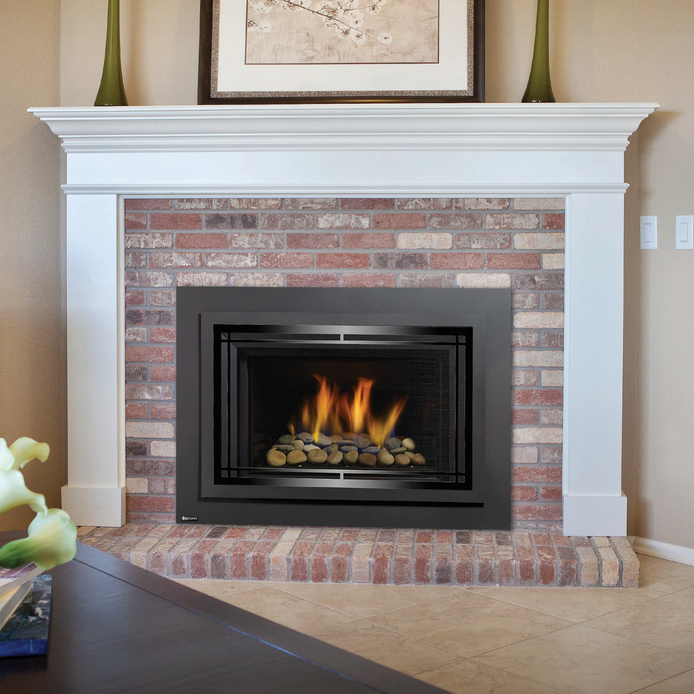 Horizon® Gas Inserts