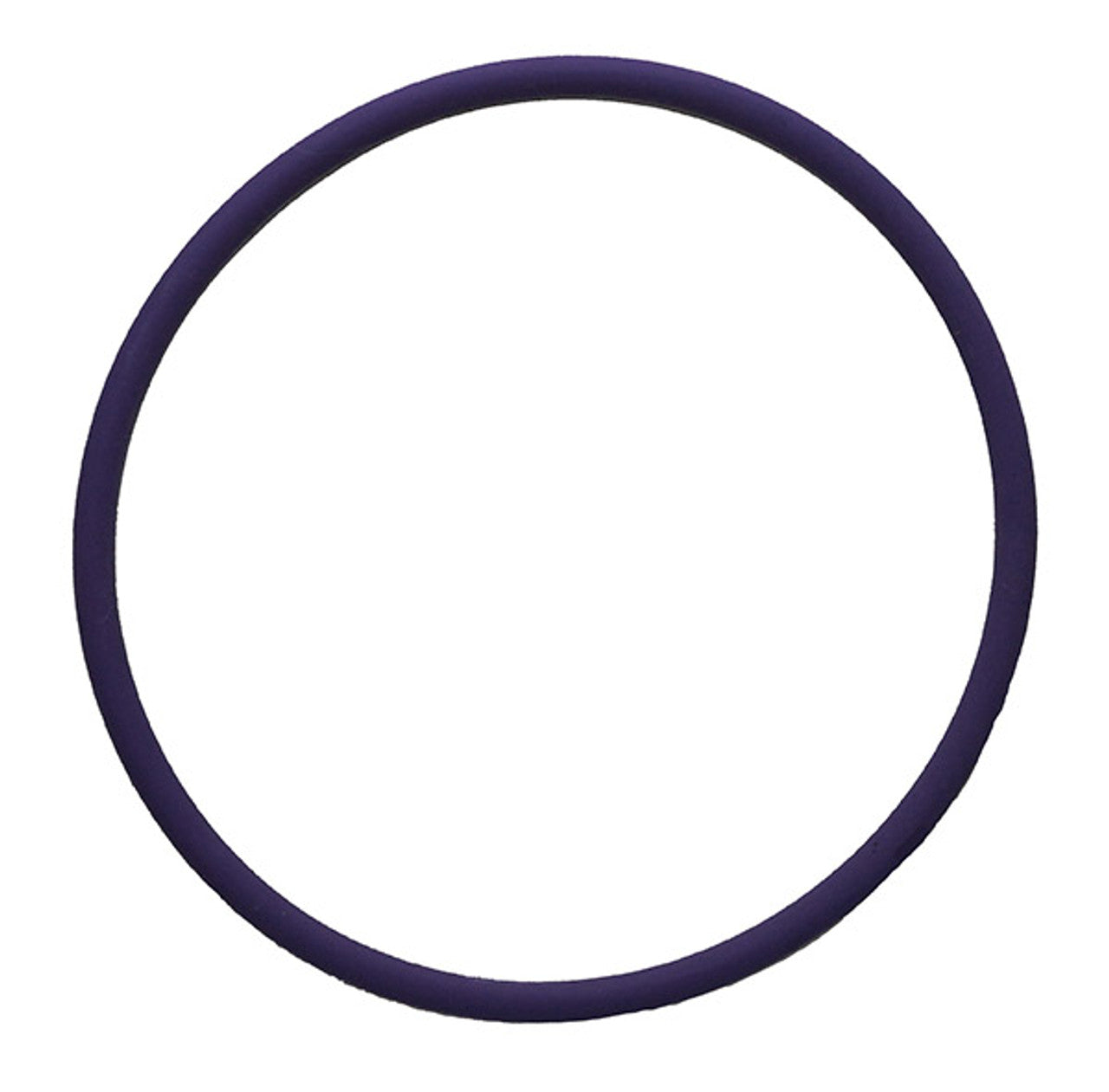 O Ring for 3/4" & 1" XL DIG Filter