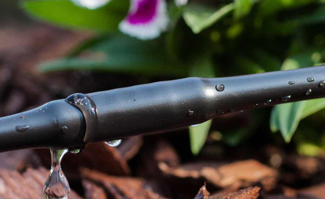 1/2 GPH, 1/4" Dripperline (0.170" x 0.250"), 6" Spacing, 100' Coil