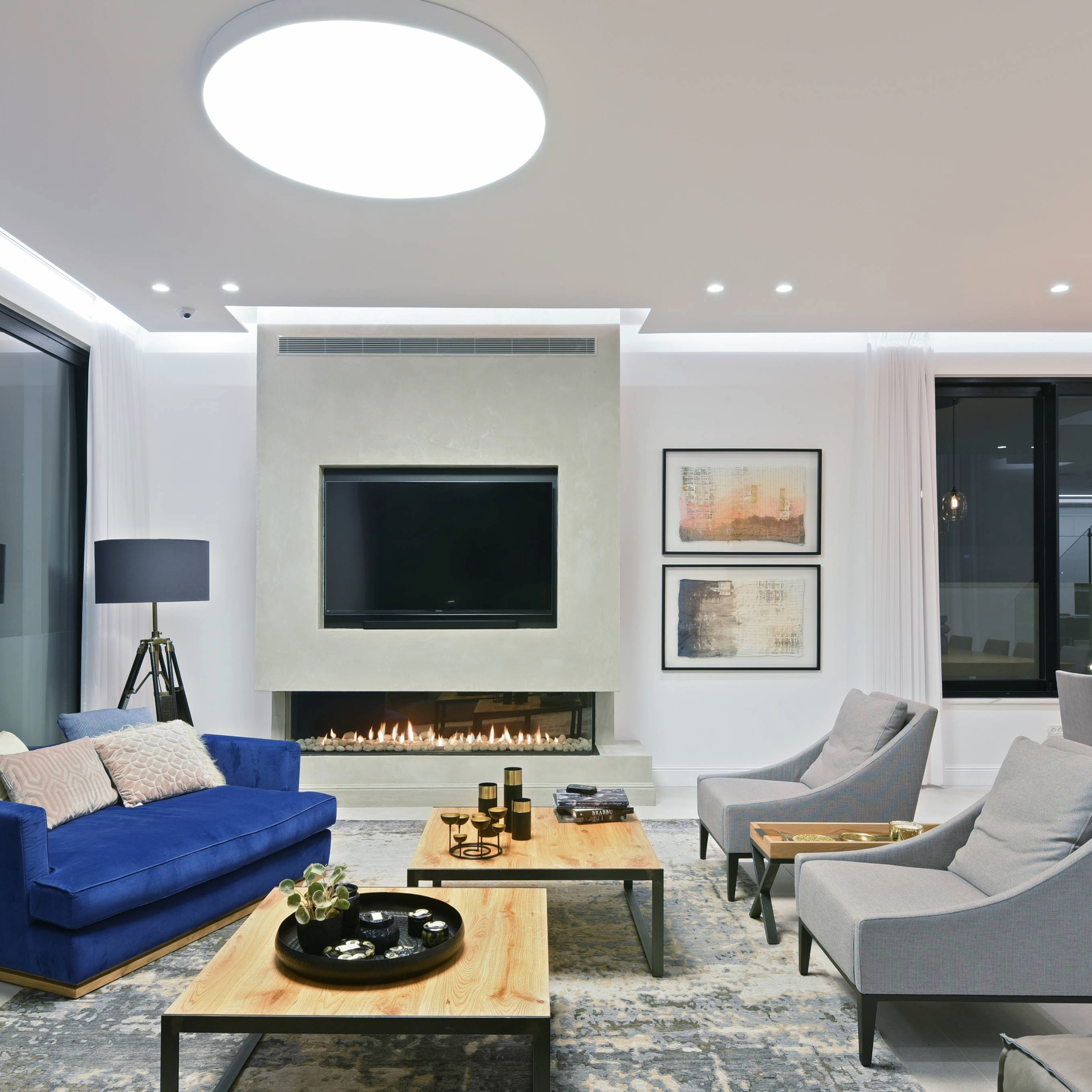 Three Sided Fireplace with Standard Burner and Protective Screen