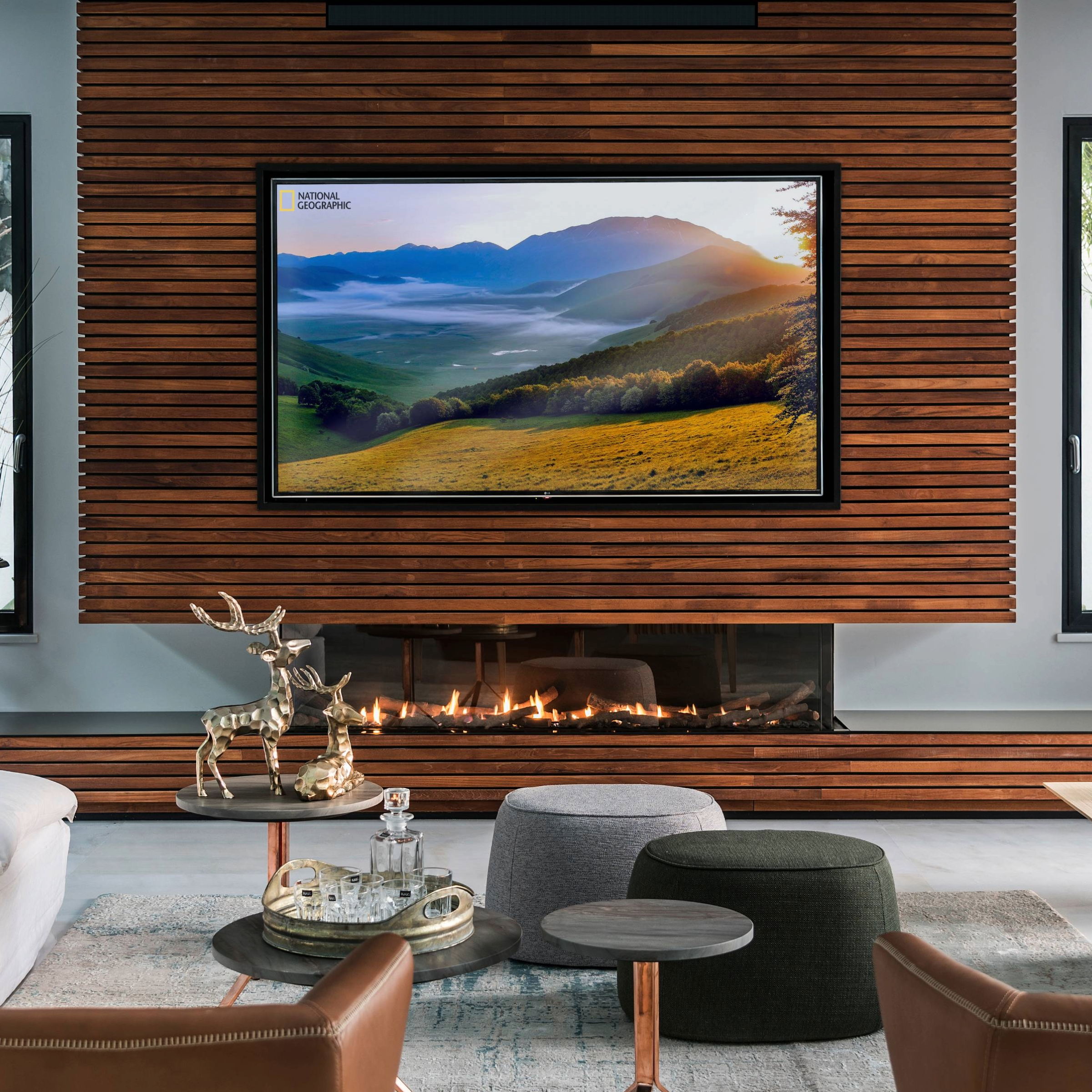 Three Sided Fireplace with Standard Burner and Protective Screen