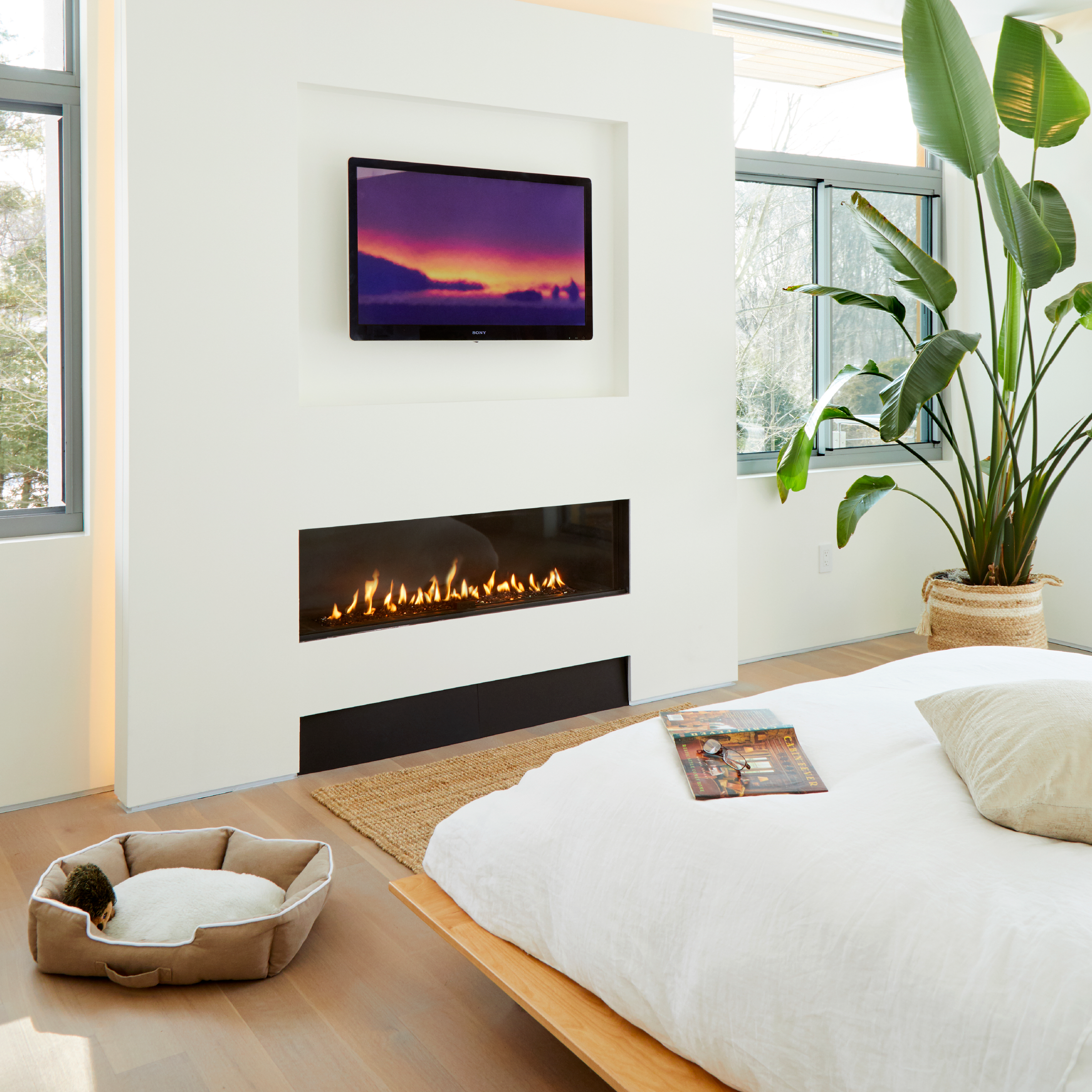 Front Facing Fireplace with Standard Burner and Protective Screen