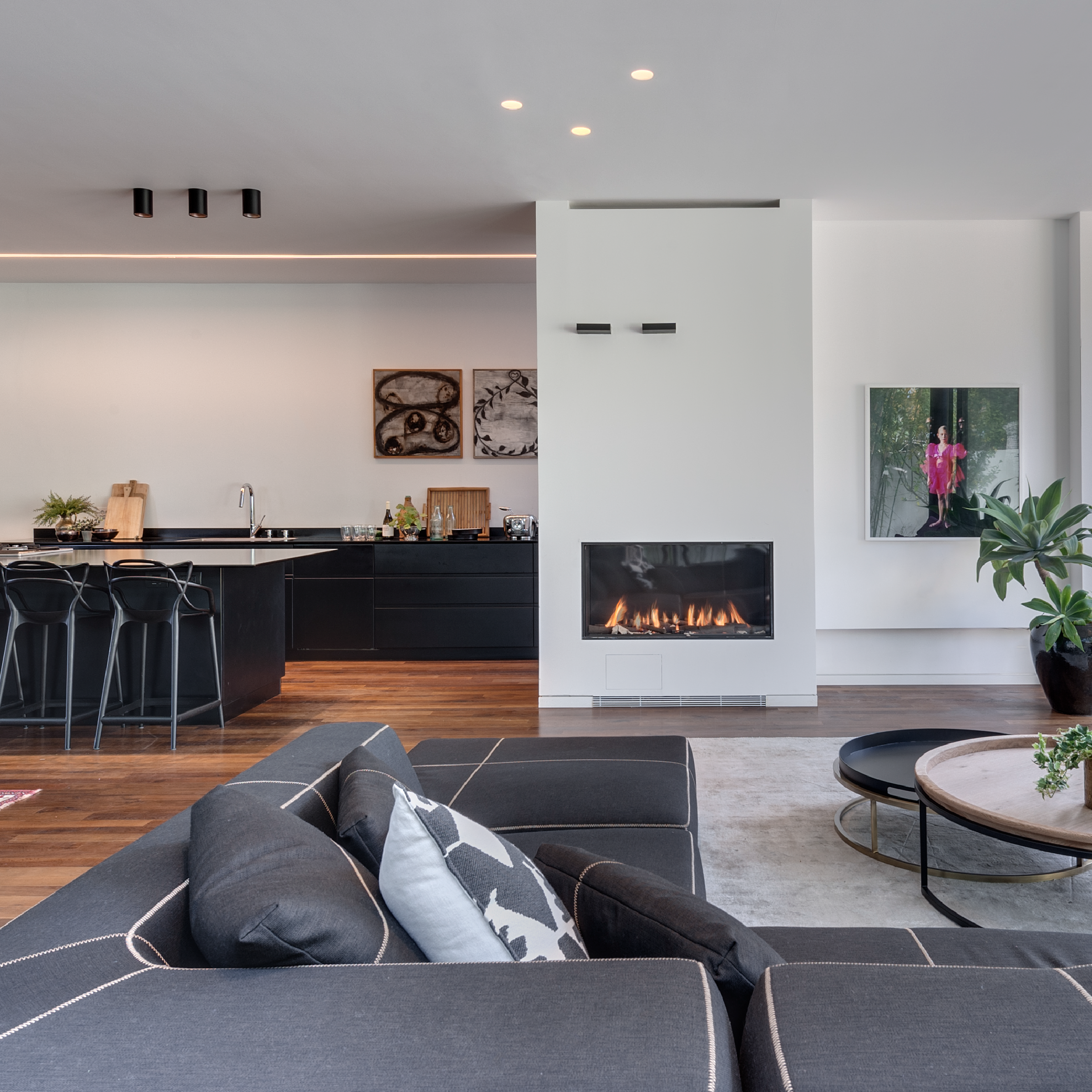 Front Facing Fireplace with Standard Burner and Protective Screen