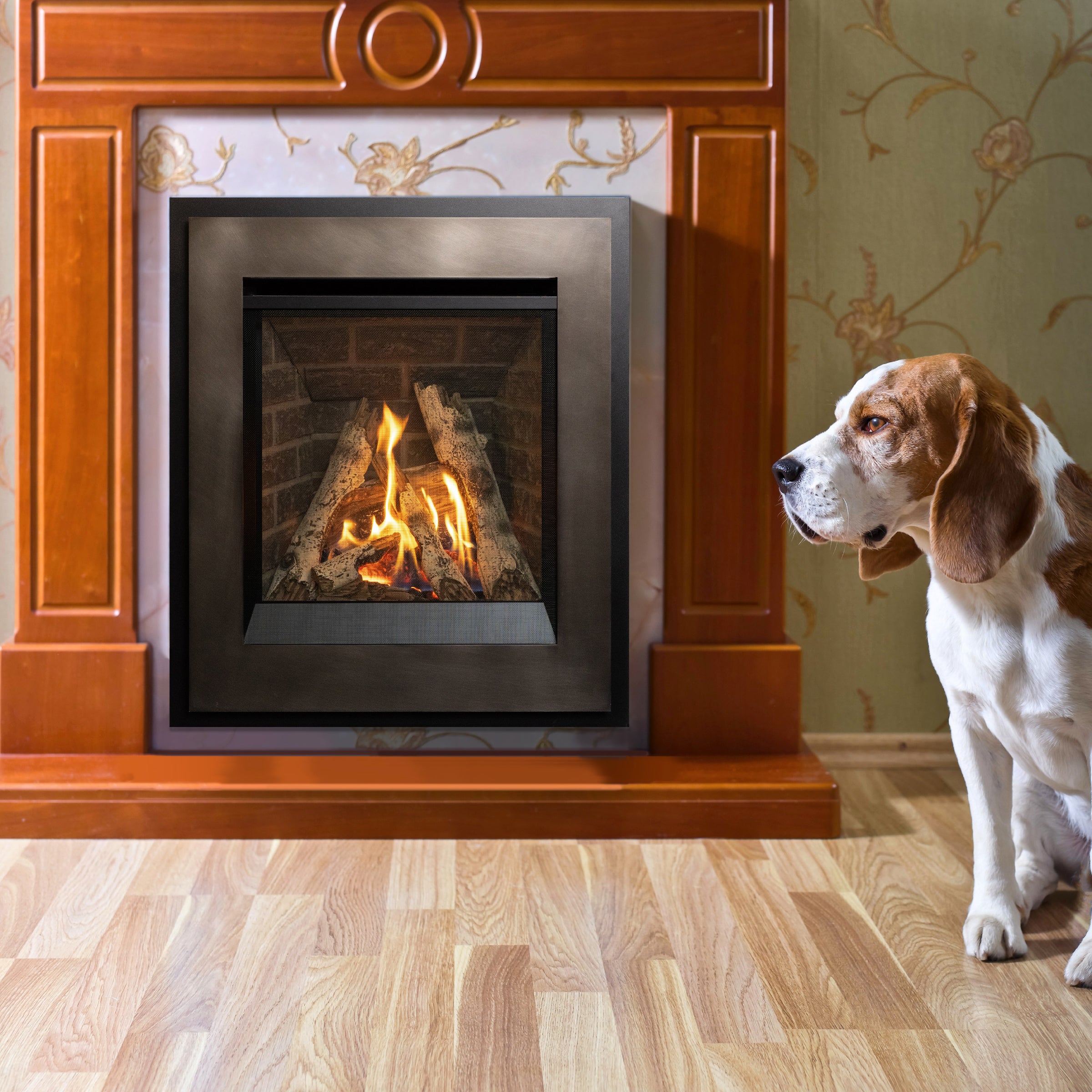 200A P2 Gas Fireplace