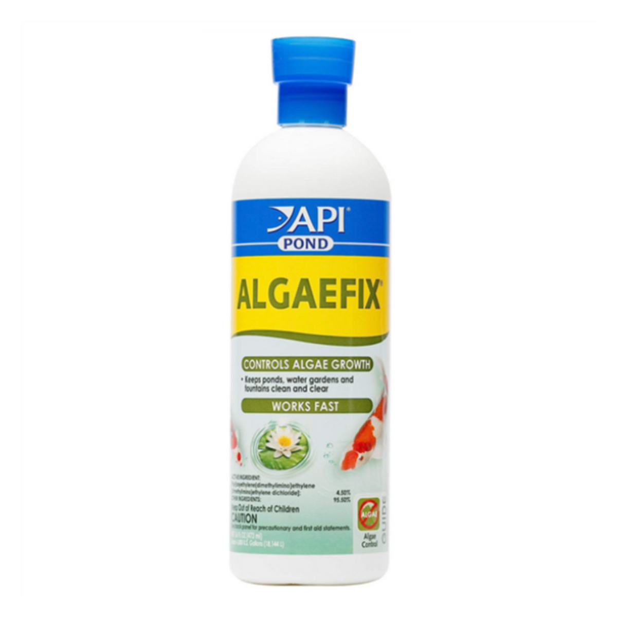 API Pond Algaefix Algae Control Solution, 16-fl oz bottle