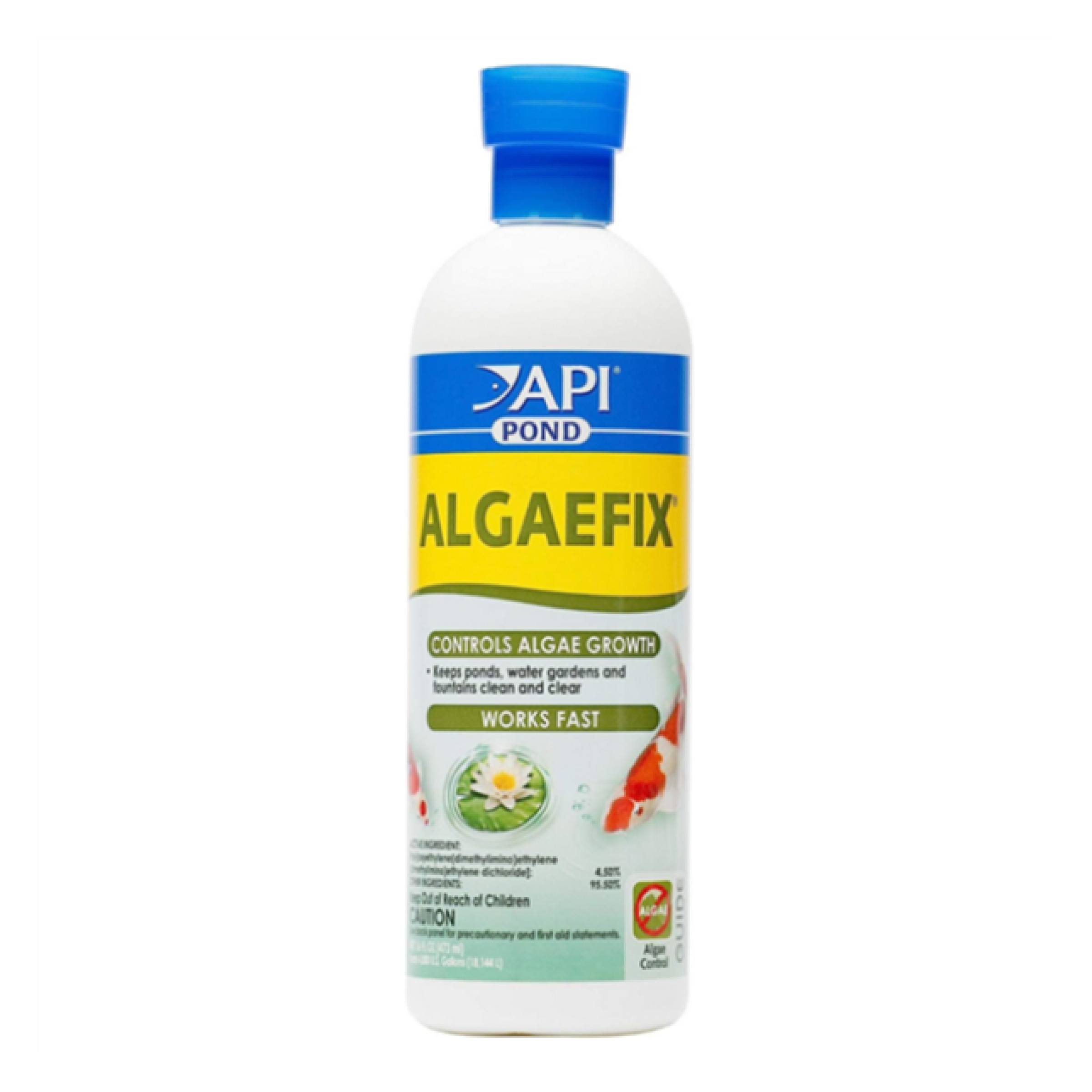 API Pond Algaefix Algae Control Solution, 16-fl oz bottle