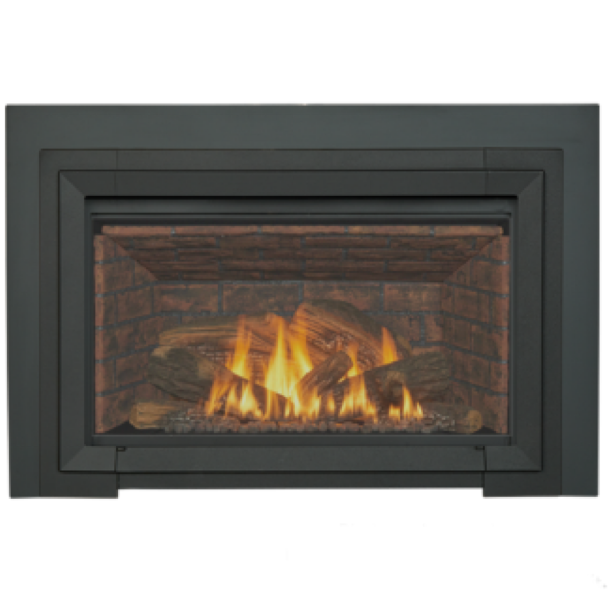 GI 645 DV Astrid Gas Insert with Blower